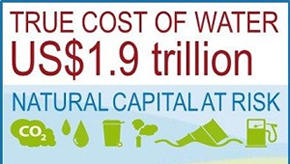 Water cost