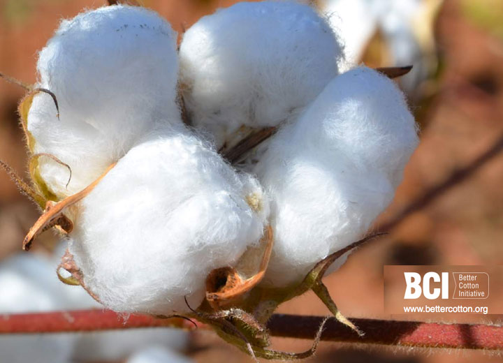 Better Cotton Initiative