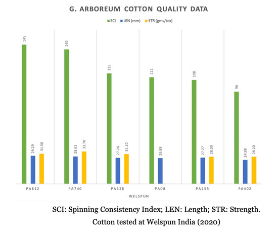 Could indigenous Indian cotton boost sustainability?, Features