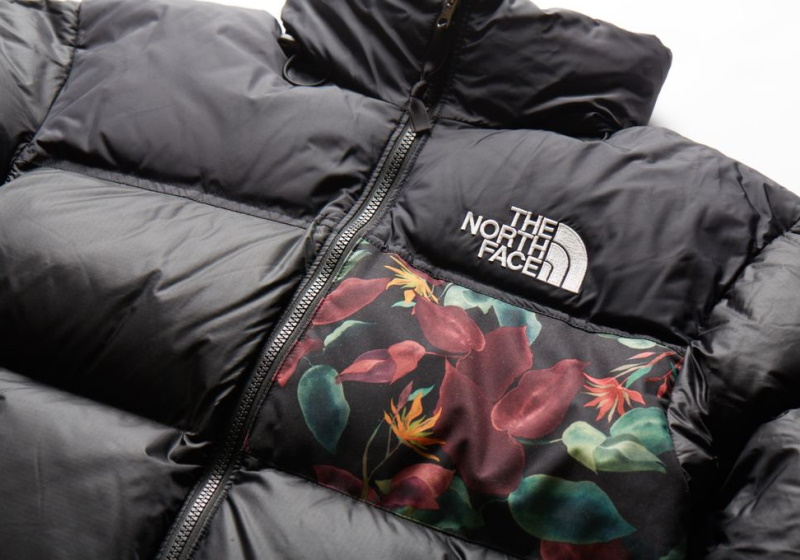the north face face