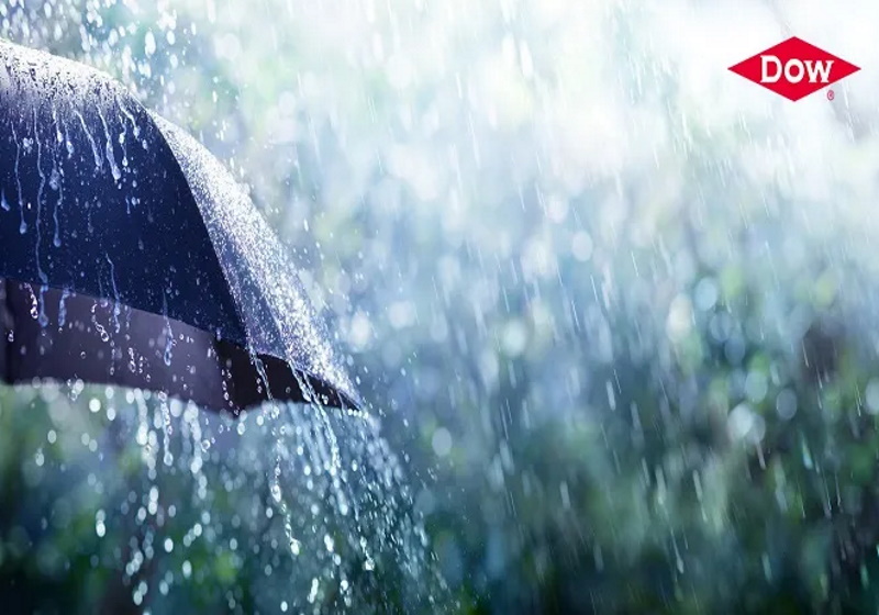 Dow announces PFC-free water repellency finish, Dyes & Chemicals News