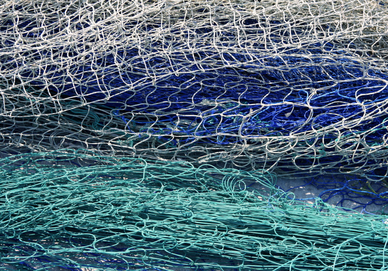 Blue Fish Netting