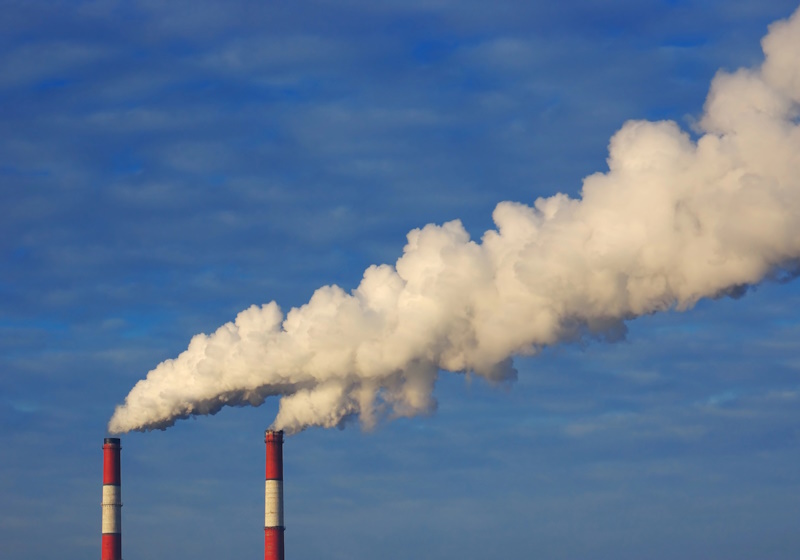 Brands back bid to decarbonise supply chain | Materials & Production ...